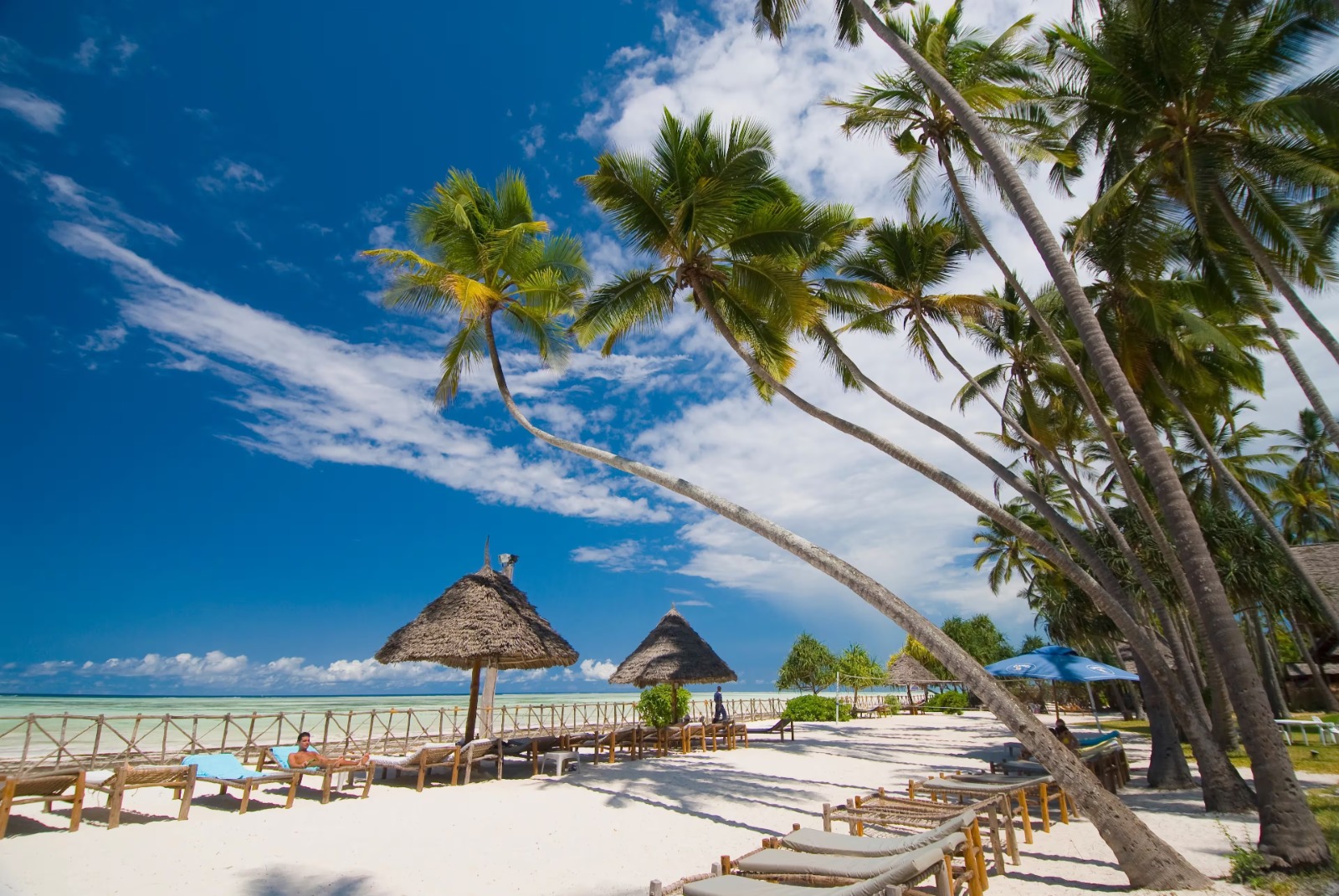 Zanzibar Experience