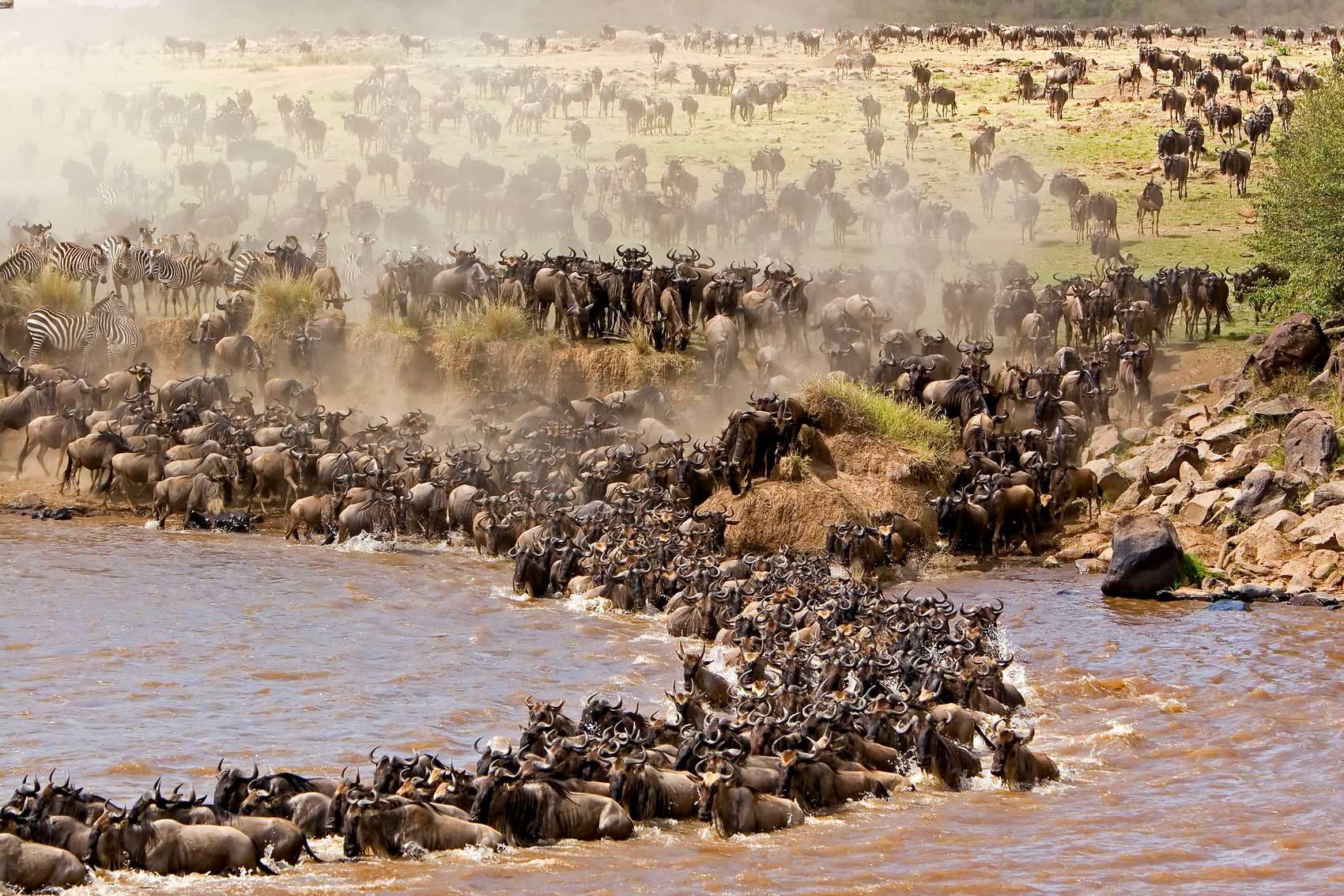 Enter the Serengeti — Endless Plains Await 🌅